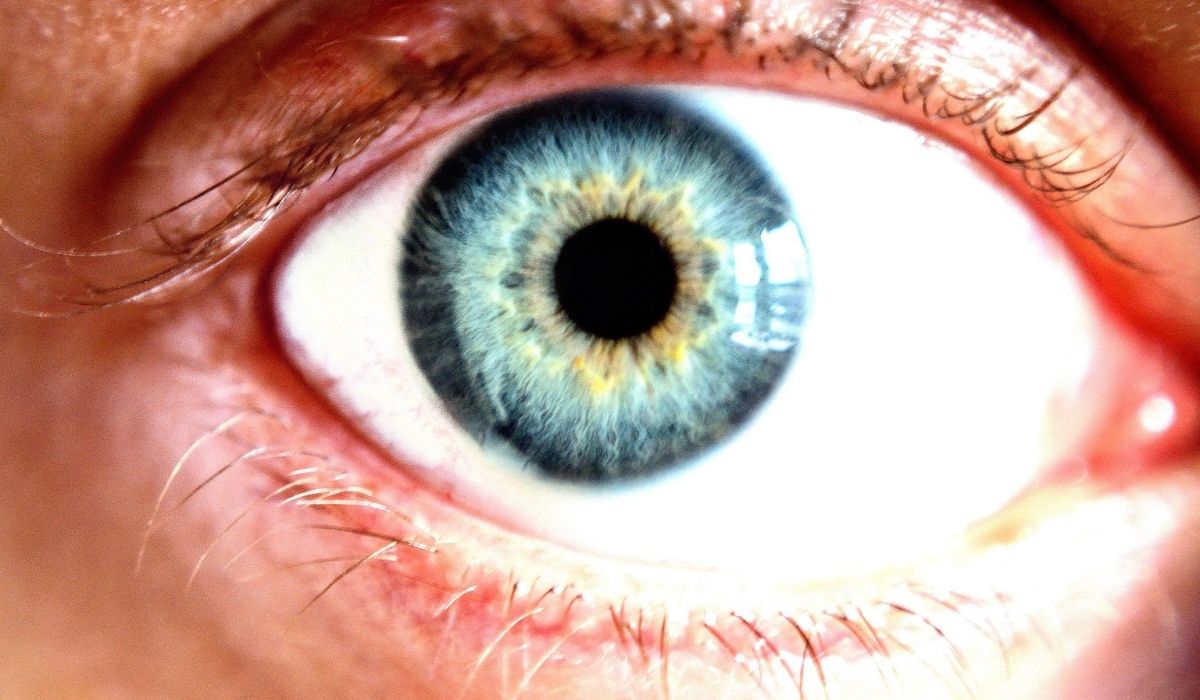 Post-Lasik Recovery tips and guides